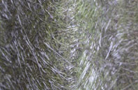 Walwick fibreglass roof work